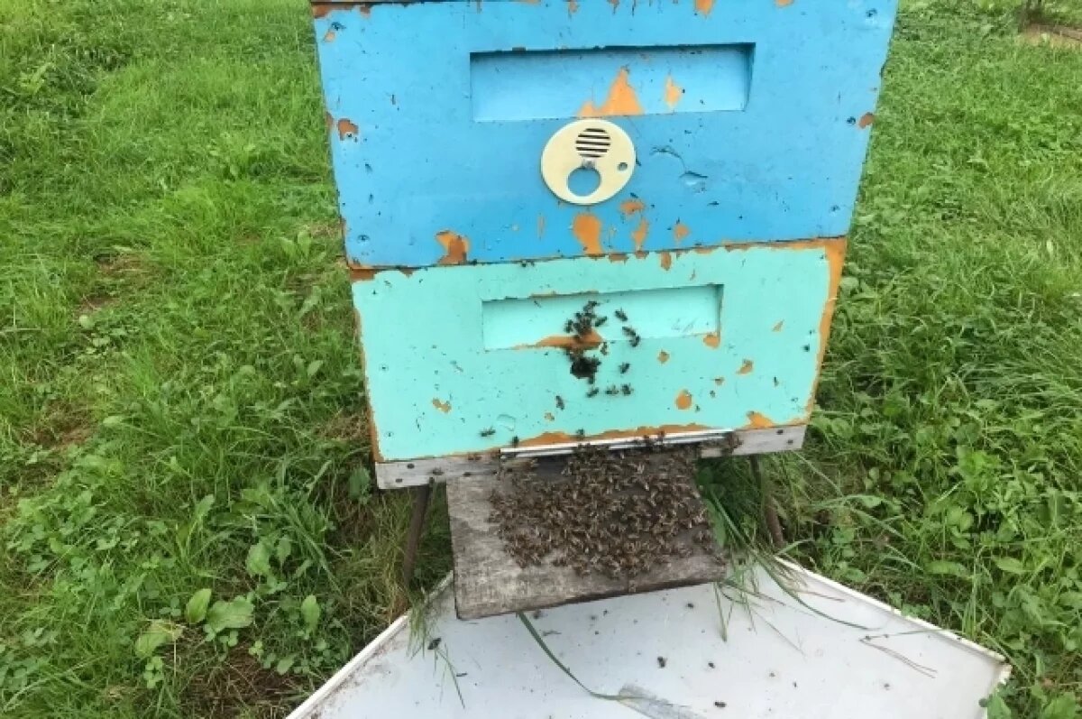    Житель Алтая получил бюджетные деньги на бизнес и рассчитался ими за кредит