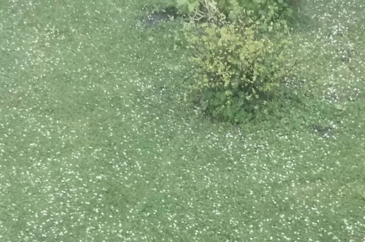    МЧС Иркутской области предупреждает о крупном граде и ливнях