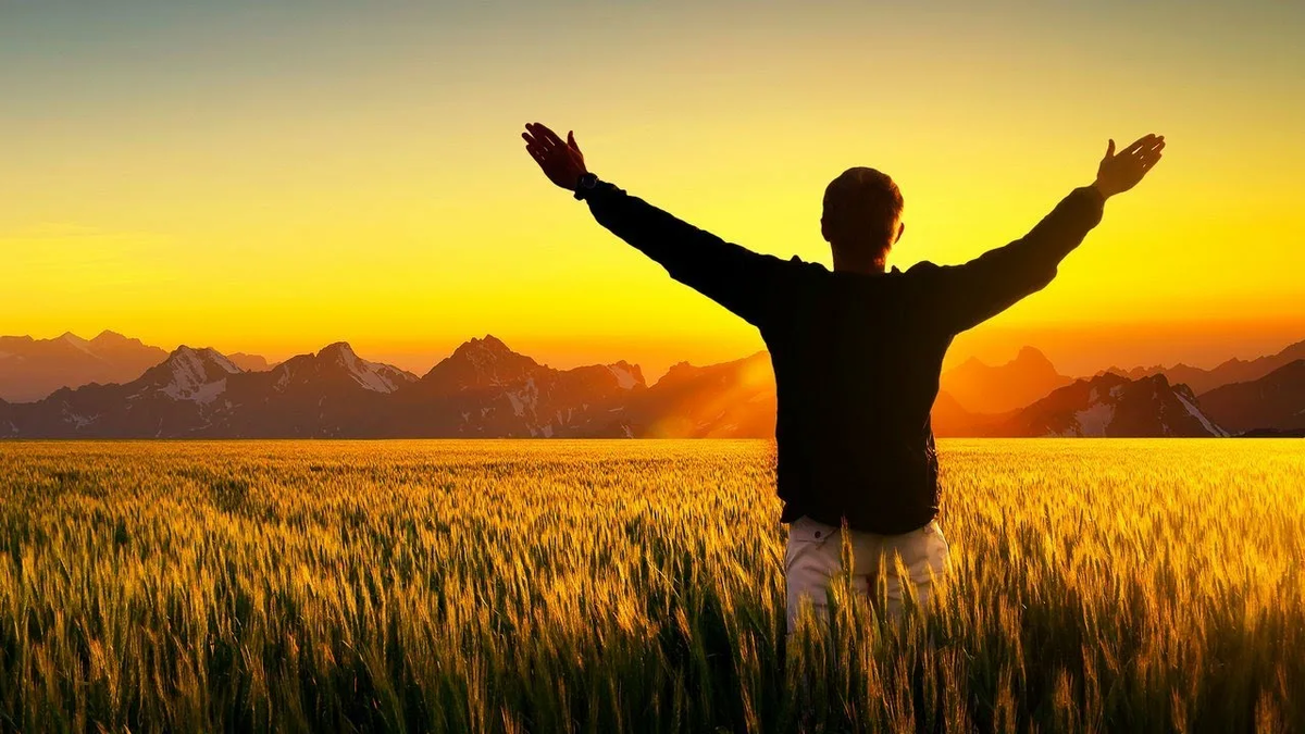 источник фото - интернет