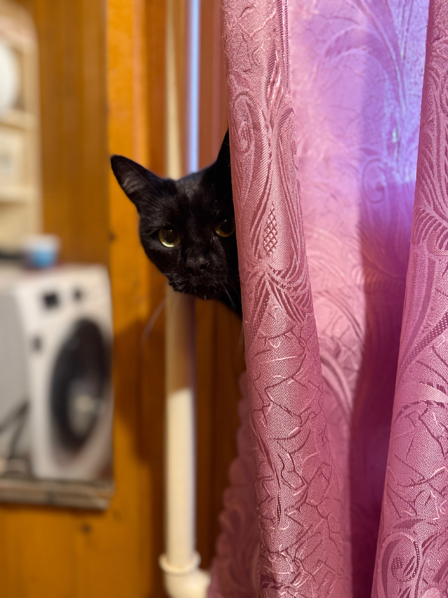 Что ты там про меня пишешь? 🧐