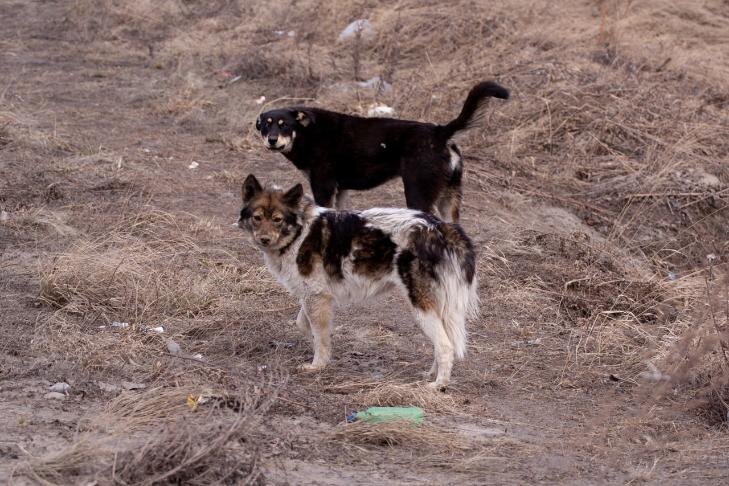    Фото из архива VN.ru