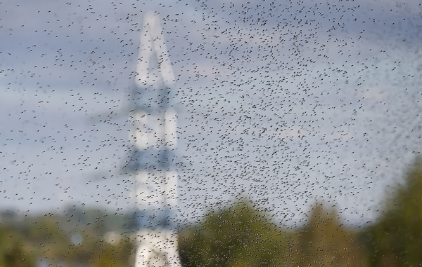 Михаил Кутузов/ТАСС