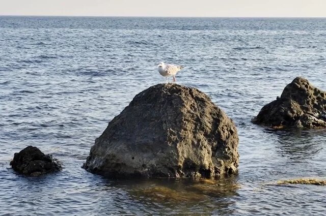    В ночь с 10 на 11 августа над Крымом отразили атаку БПЛА ВСУ: что известно?