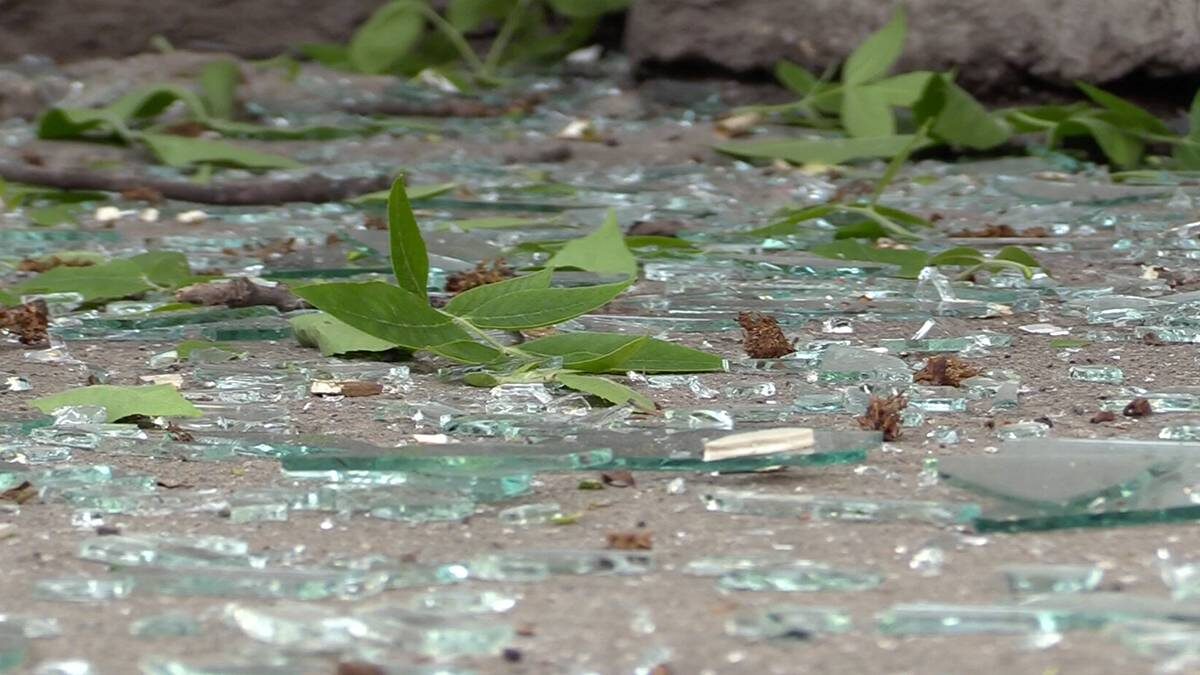    Фото: Мобильный репортер / АГН Москва