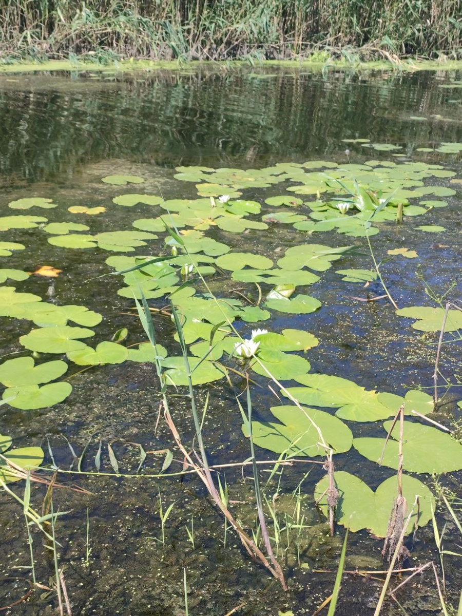 Фото прислала сестра.