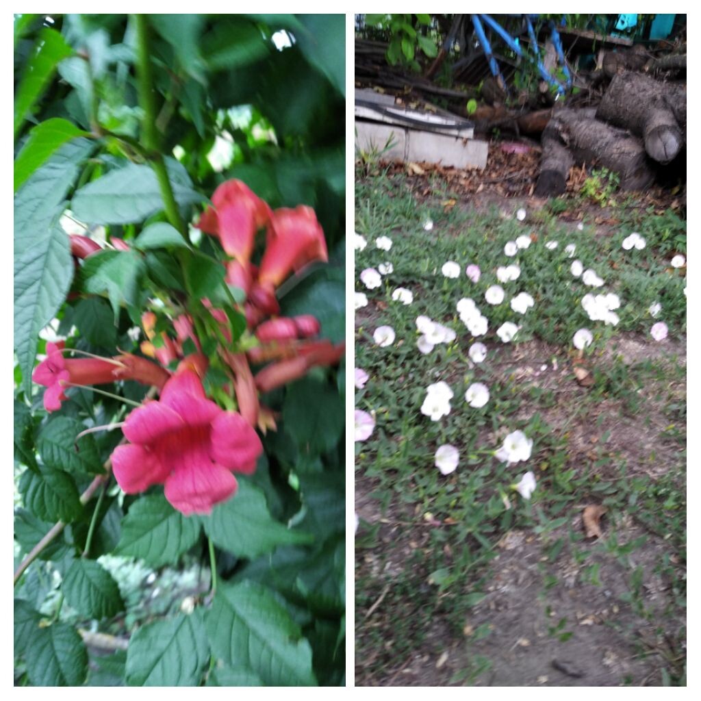 Уже не такие краски когда пасмурно.