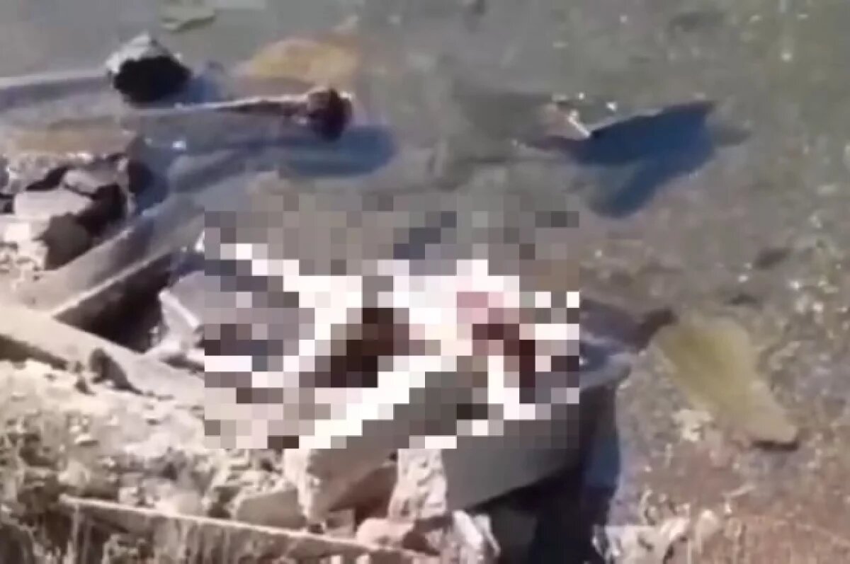    Во Владивостоке в море на мысе Кунгасный обнаружен труп мужчины