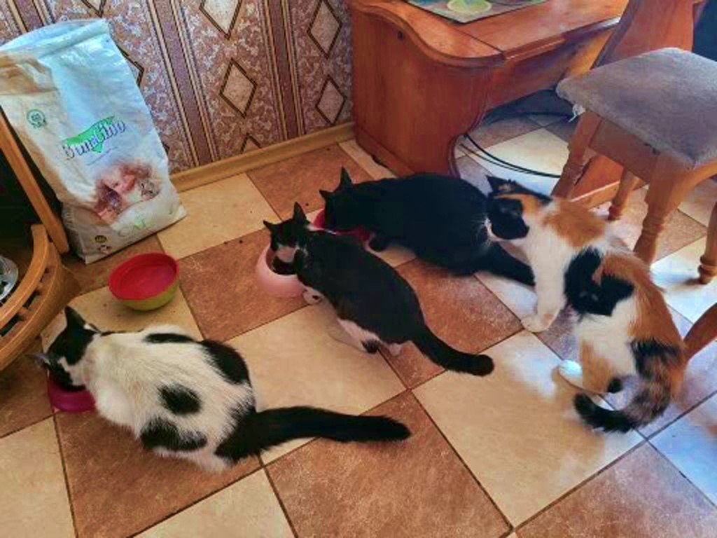 Два месяца назад все было хорошо.. Масяня и Ко...