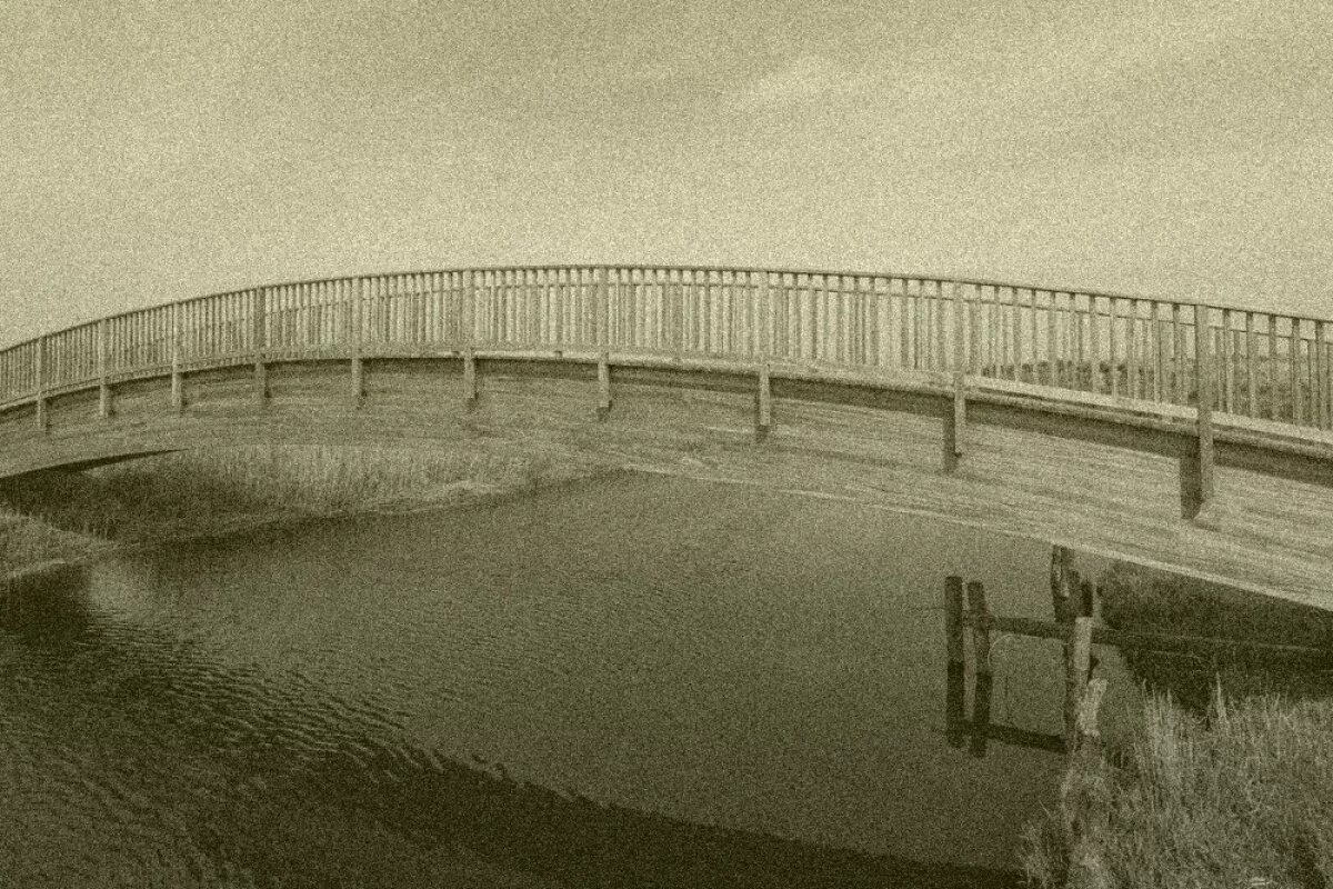    Прыжок с моста довёл до тюрьмы жителя Хабаровского края