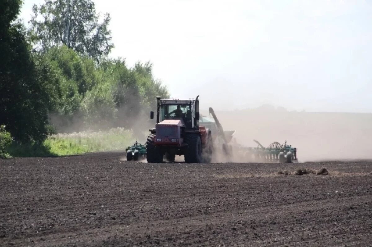    До 2030 года власти Кузбасса хотят ввести в оборот все неиспользуемые земли