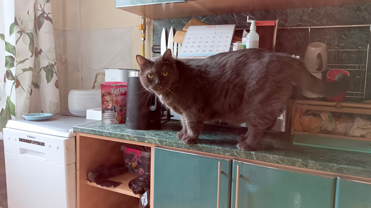 Немного Саймона вам в ленту