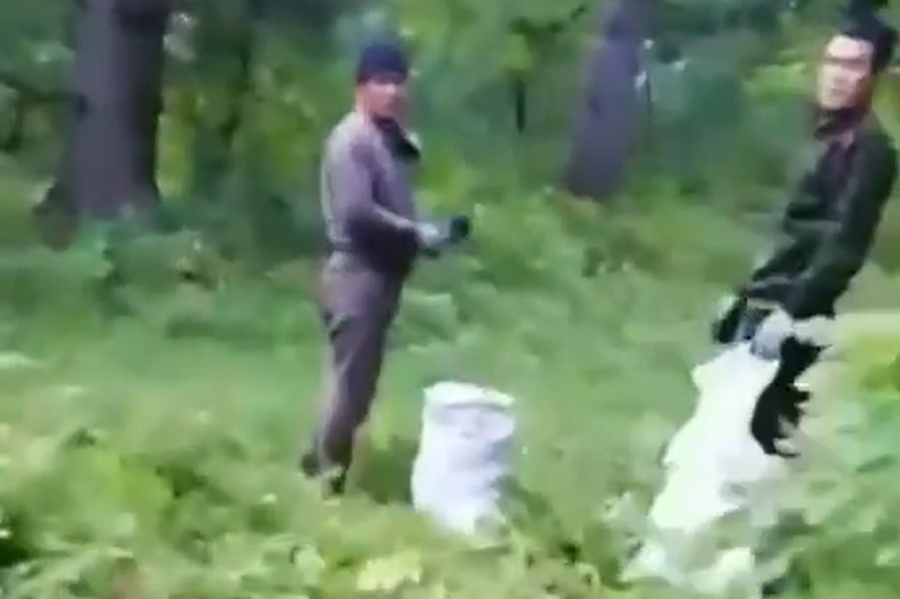 Скриншот видео.