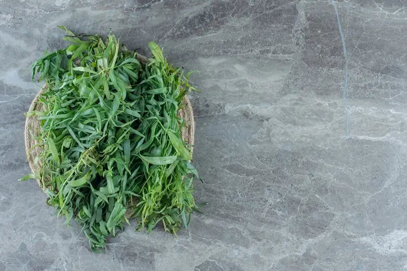     © Freepik. azerbaijan_stockers