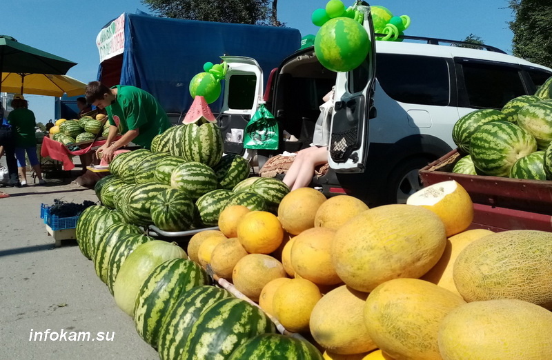    Арбузный фестиваль в Камышине
