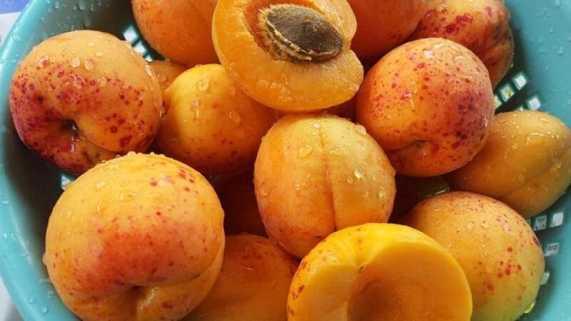     Абрикосы. Фрукты СС0