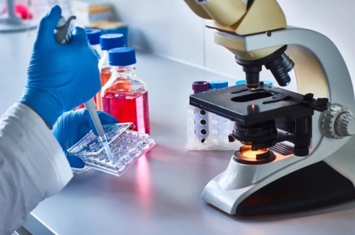    Ген аутизма и умственной отсталости исследуют нижегородские ученые