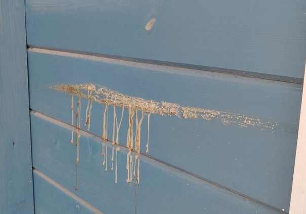 выход смолы через покрашеную поверхность