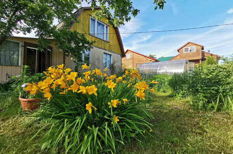   Игорь Самохвалов/ПГ