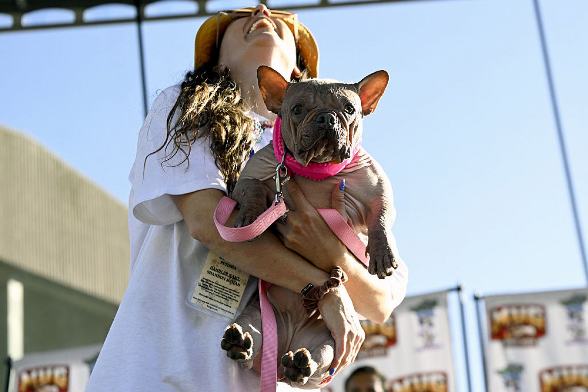 Фото: Tayfun Coskun/Getty Images