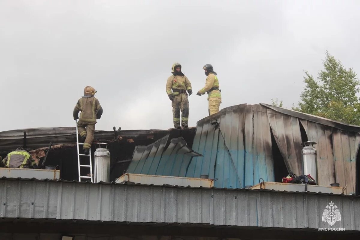    Пожар рядом со складом маркетплейса в Хабаровске потушен