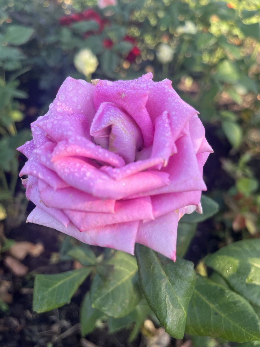 листайте, схемы на следующих фото