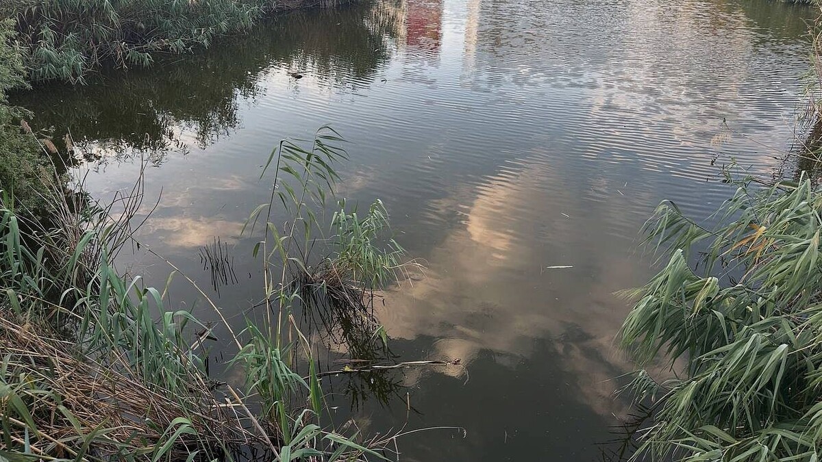    Фото: телеканал «Краснодар»