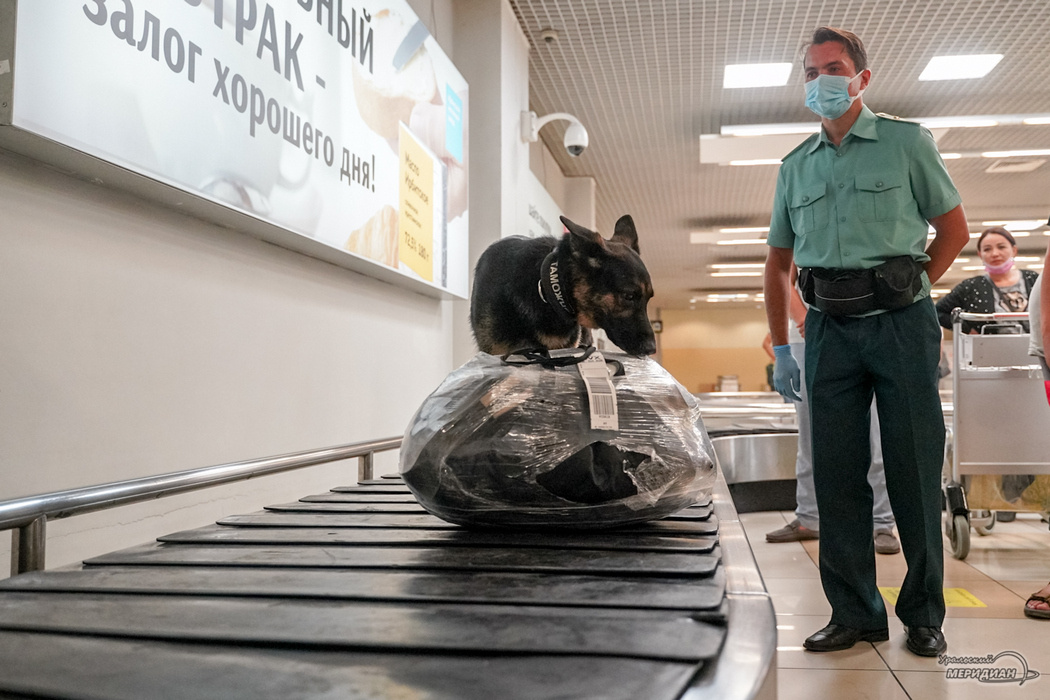    Фото: Лидия Аникина © ИА «Уральский меридиан»