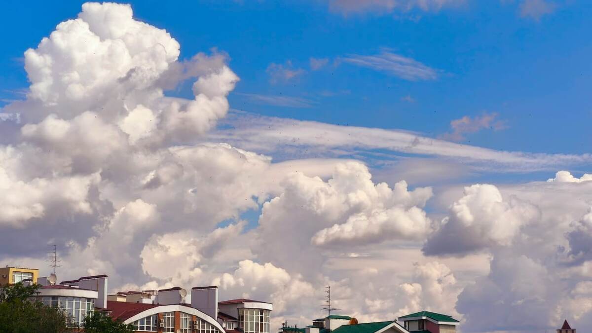     Фото: Виталий ГАРКУША