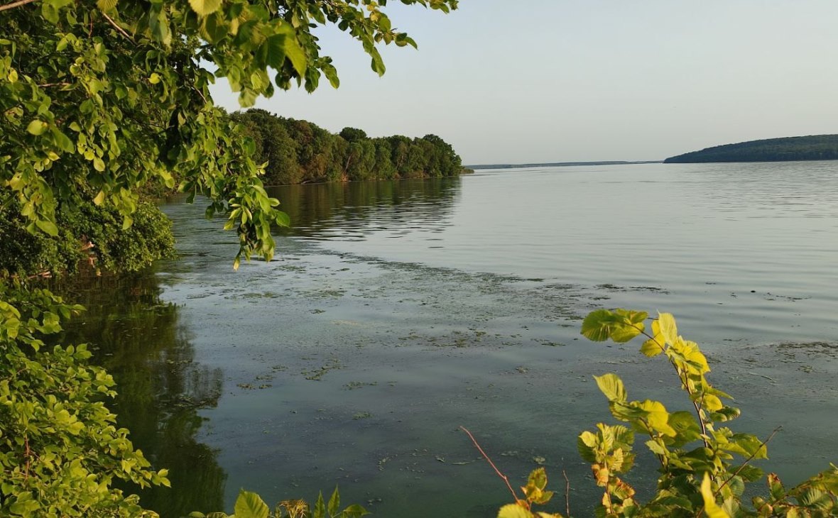 Фото: РБК Черноземье