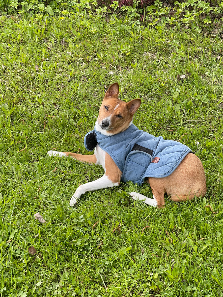 Фото Басеньки из личного архива 