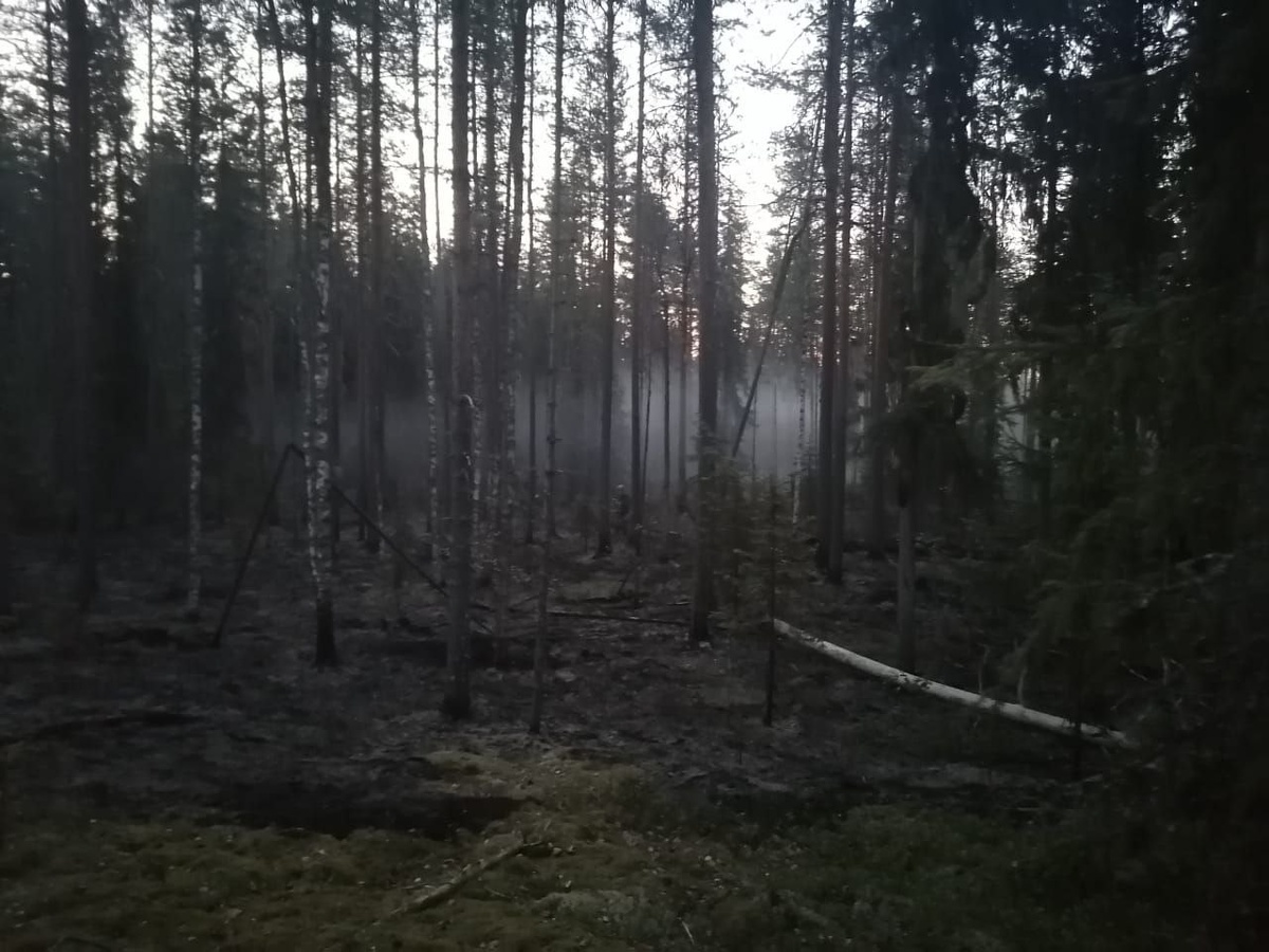    Фото: Госкомитет Карелии по безопасности