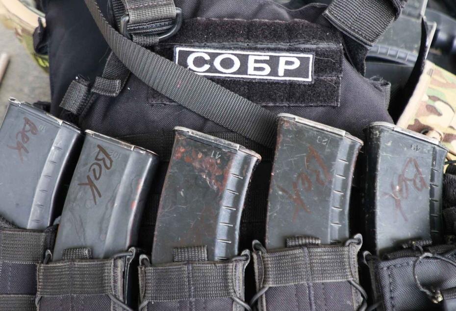    Алексей Белкин/NEWS.ru