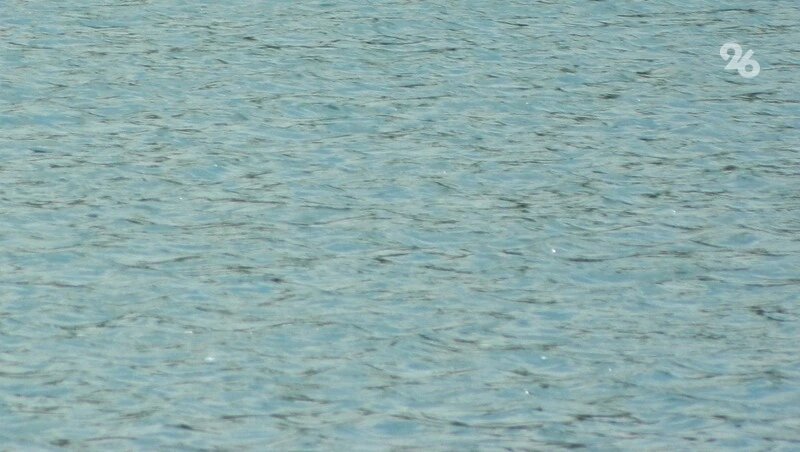      Фото: ИА «Победа26»