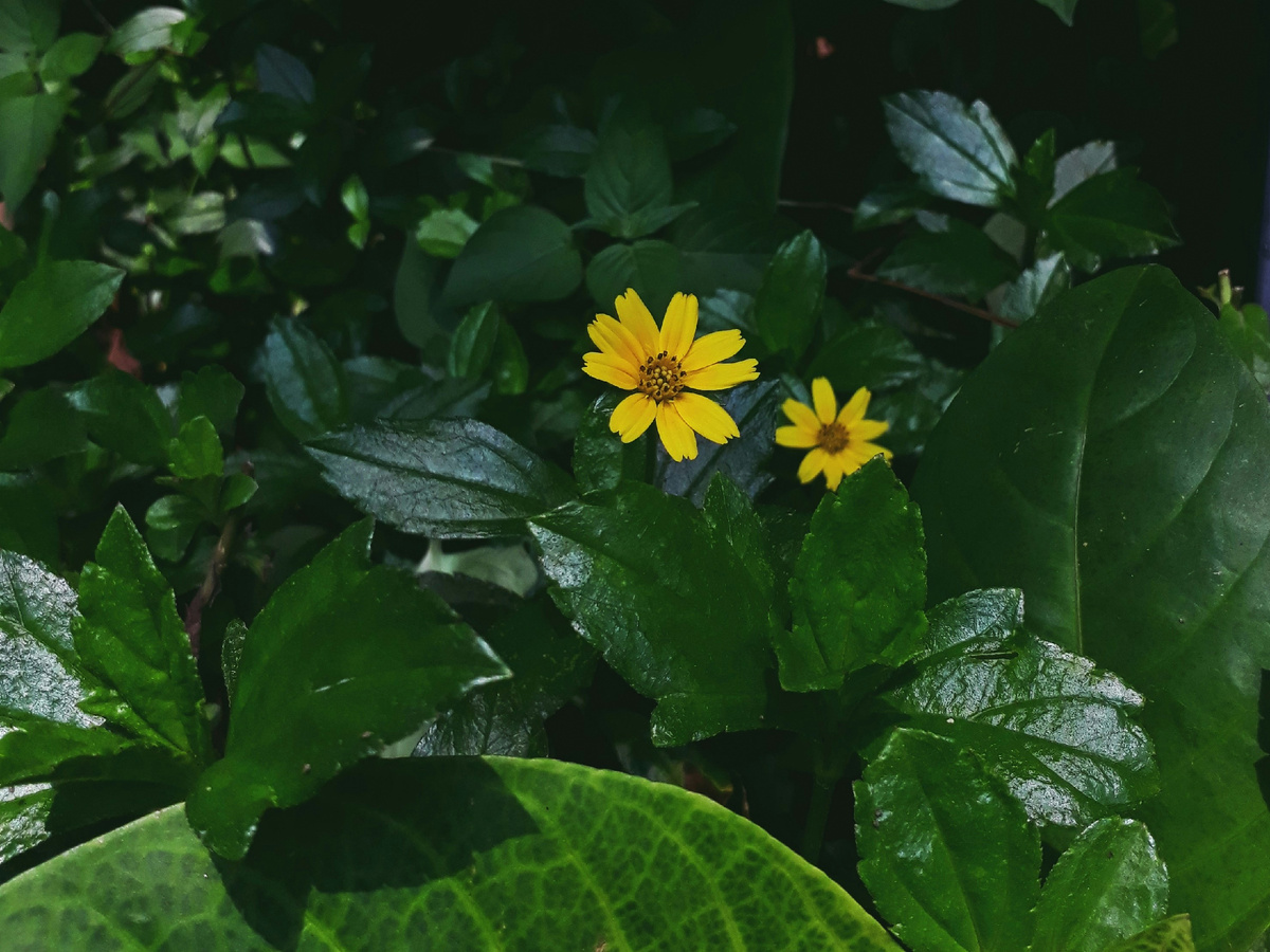 Картинка с бесплатного фотостока https://unsplash.com, автор Mila Okta Safitri