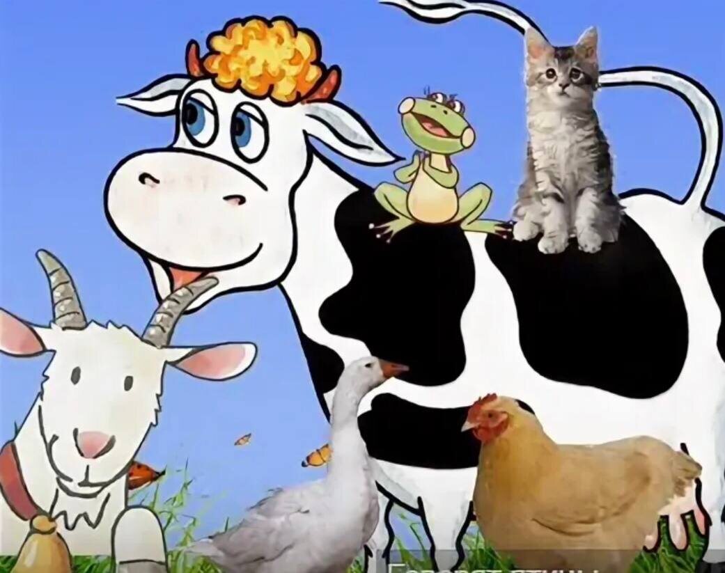 Яндекс картинки