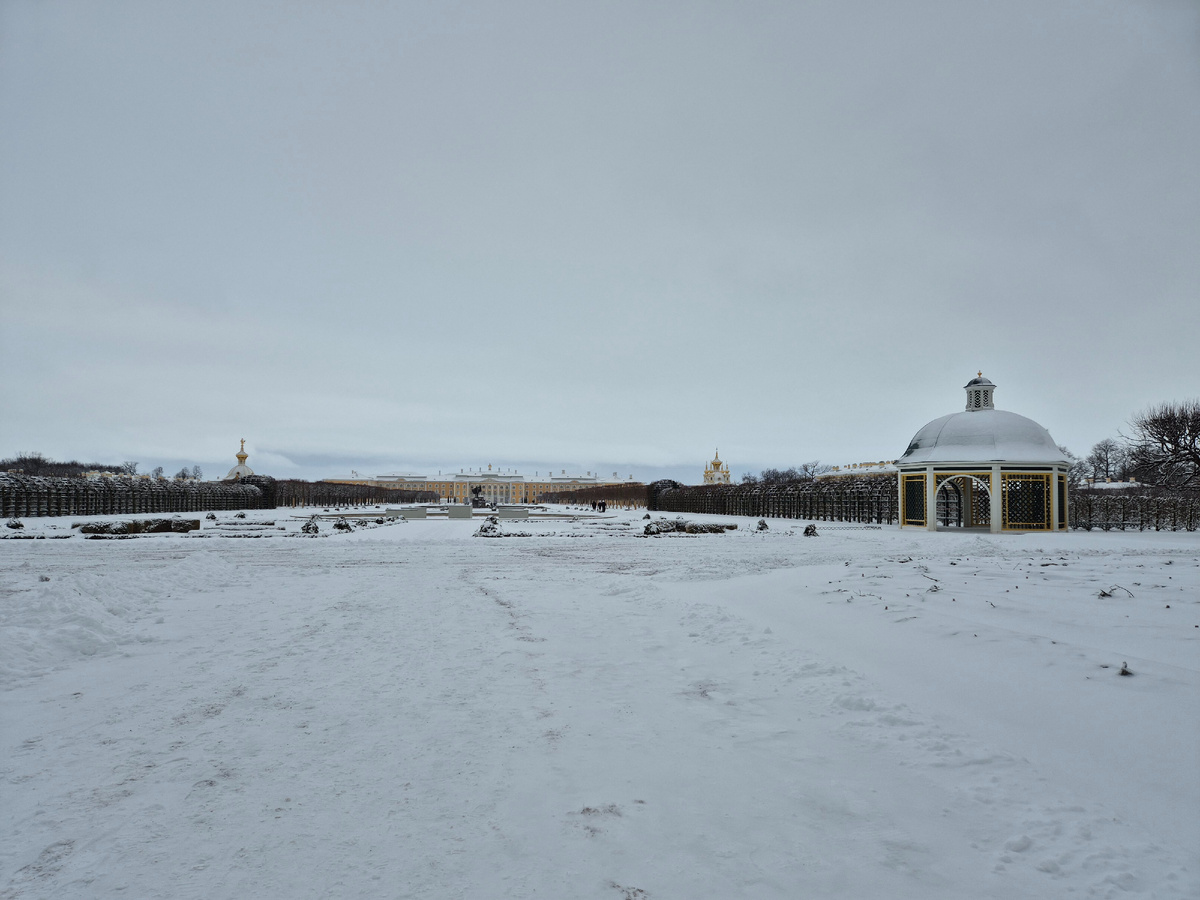 Верхний сад. Вид на дворец.