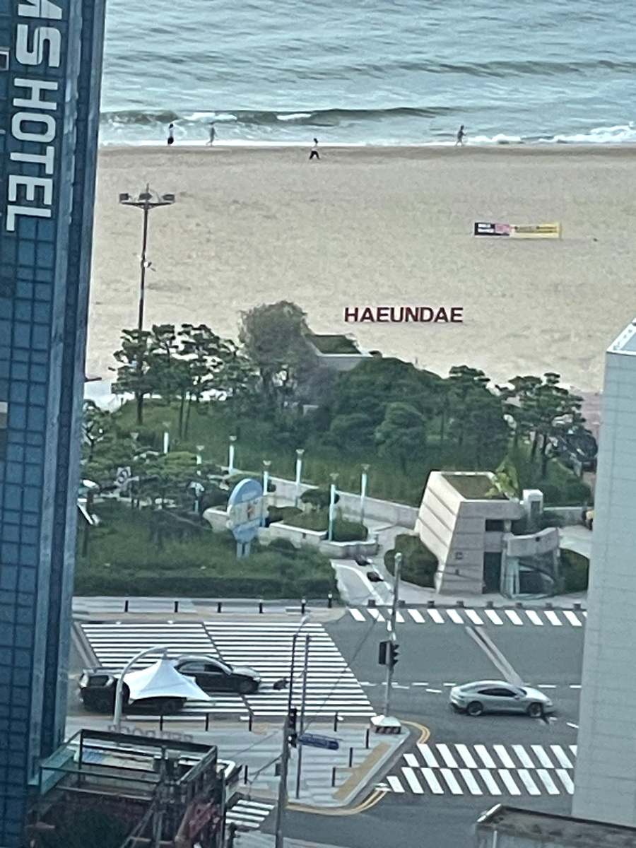 Вид из окна