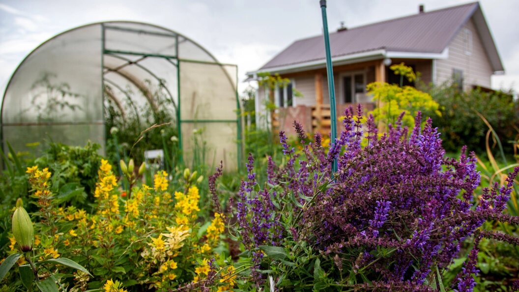    Фото: Oksana Korol/Business Online/Globallookpress