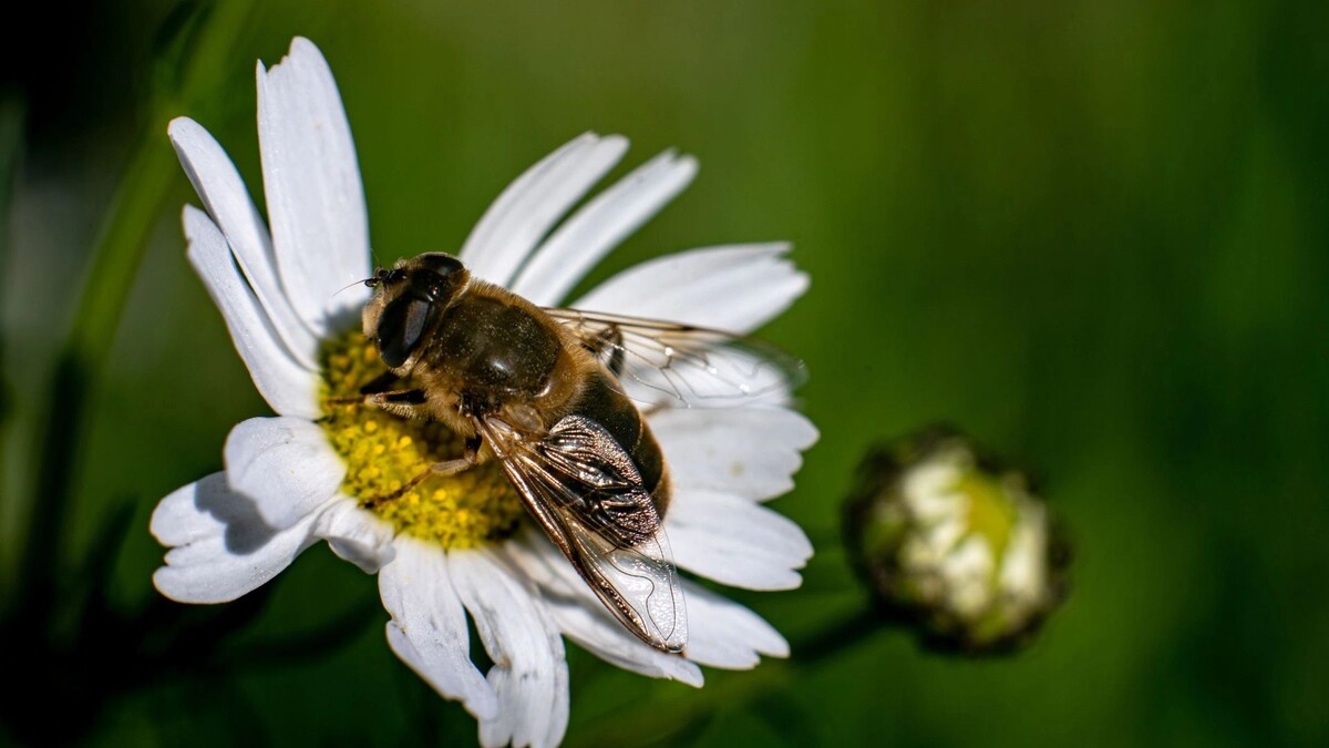    Фото: Сергей Зубков/«Ямал-Медиа»