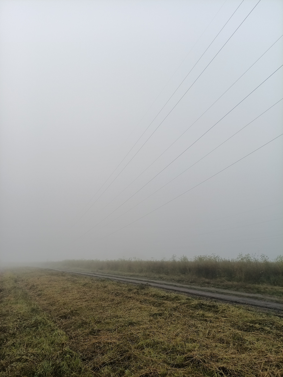 К восьми утра опустился туман, день должен быть тёплым