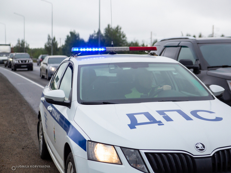     Фото: Людмила Корвякова