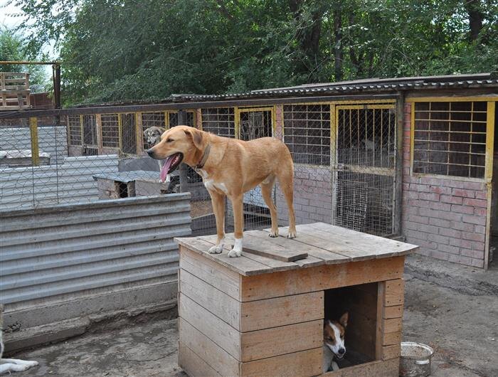    ФОТО: ГУ МВД по Самарской области