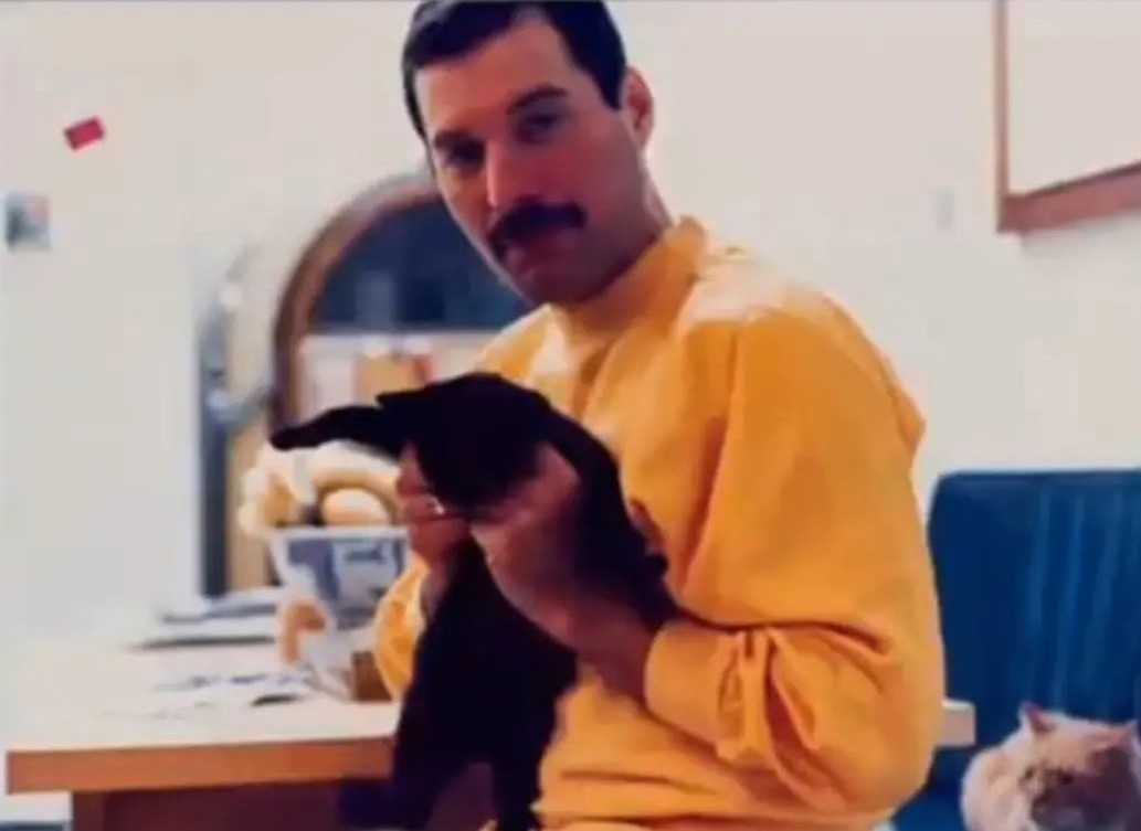 Фредди Меркьюри