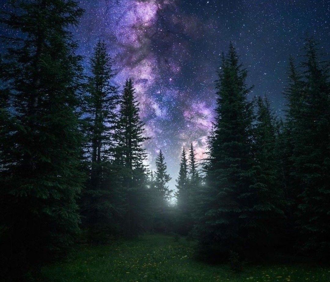    Фото: социальные сети