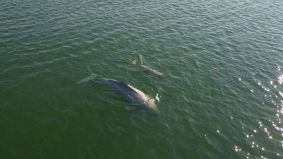    Фото: Александр Довгаль / «Газпром добыча Надым»