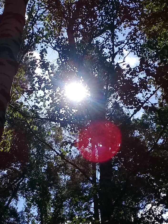 Из личных архивов