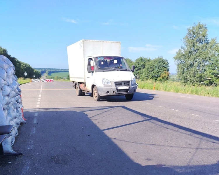     В Курской области полицейские нашли похищенные туши животных