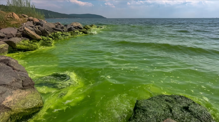    Сгенерировано в Midjourney/NEWS.ru