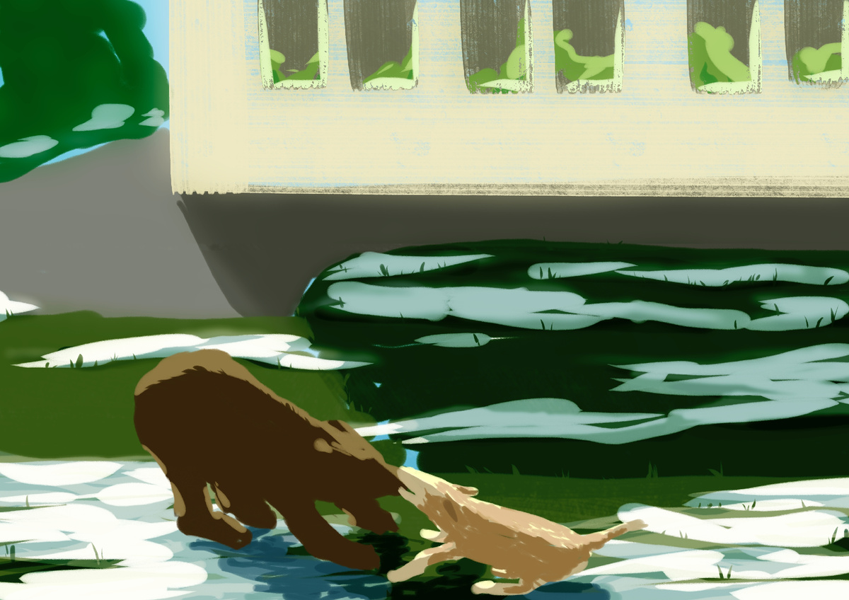 Моя собака защищает меня от медвежонка.