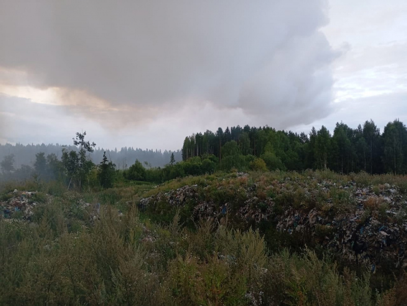    Мусорный полигон загорелся в Кондопожском районесоцсеть Дмитрия Зацепина